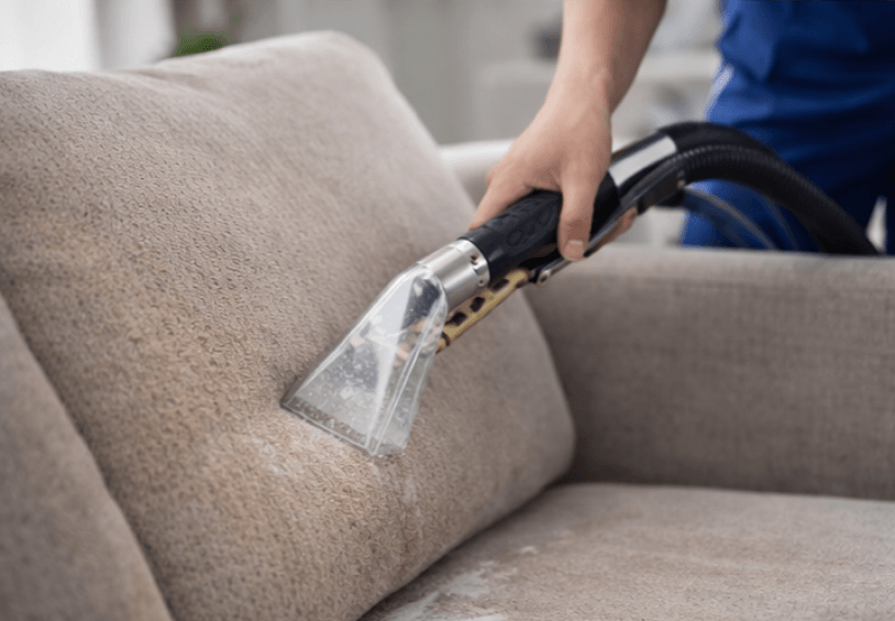 Deep extraction upholstery cleaning process on sofa